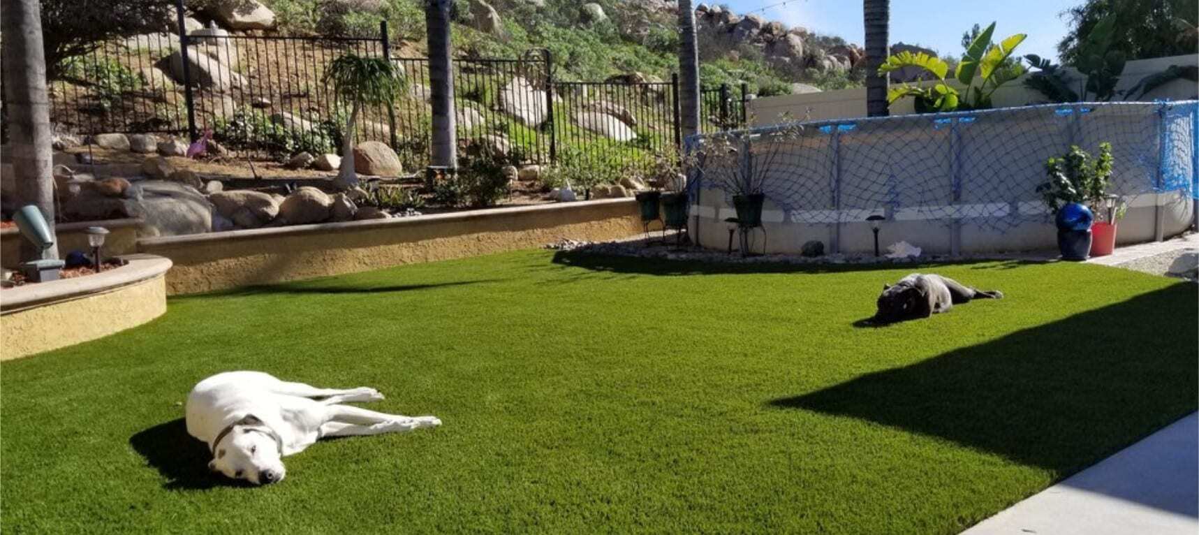 Artificial Pet Grass for Pet Areas, Kennes, Parks & more. Huntington Beach