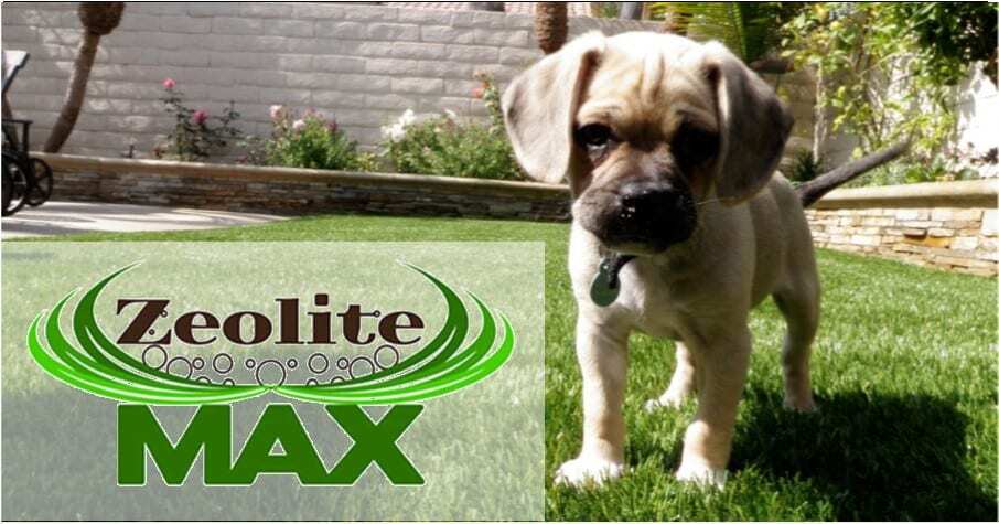 Artificial Pet Grass for Pet Areas, Kennes, Parks & more. Huntington Beach