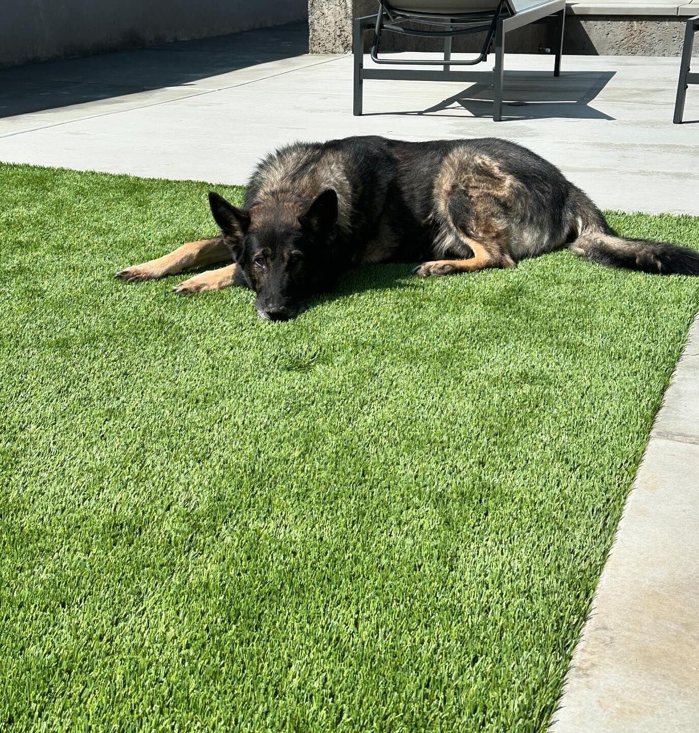 Artificial Grass Landscapes Installation, Huntington Beach, CA