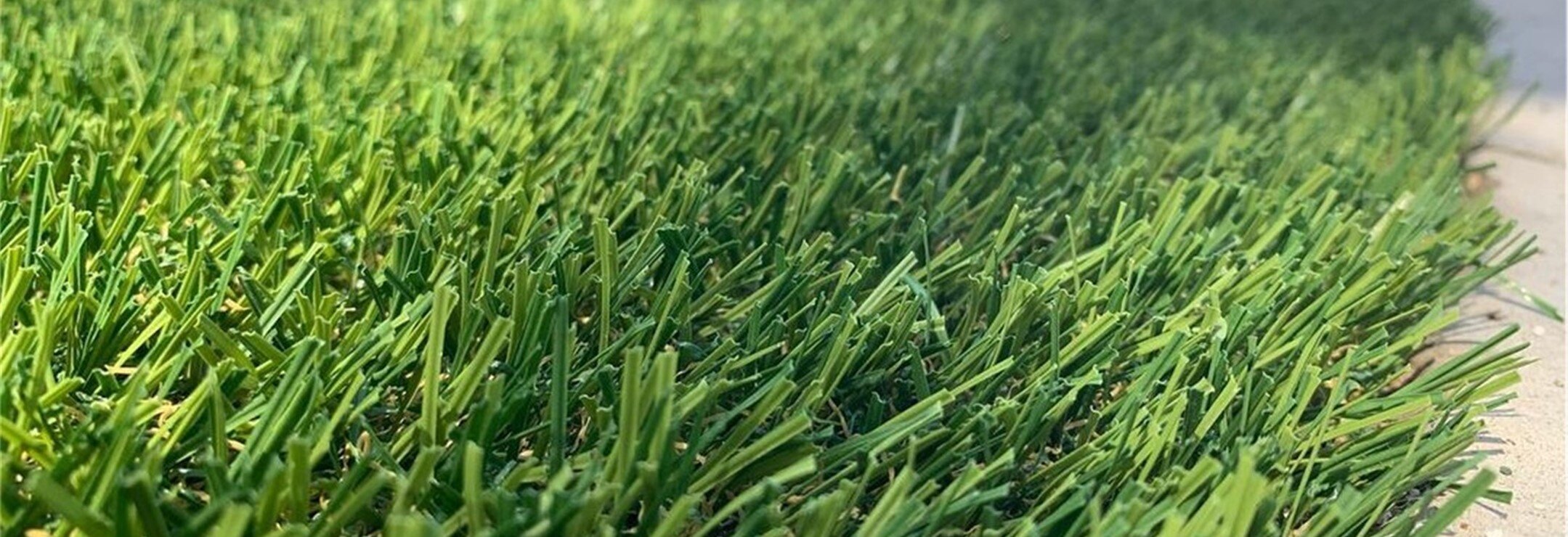 Evergreen Artificial Turf/ Artificial Grass, Huntington Beach, CA