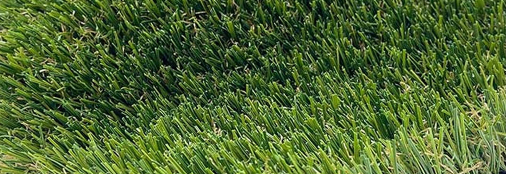 Pine Pro Artificial Grass / Artificial Turf, Huntington Beach, CA