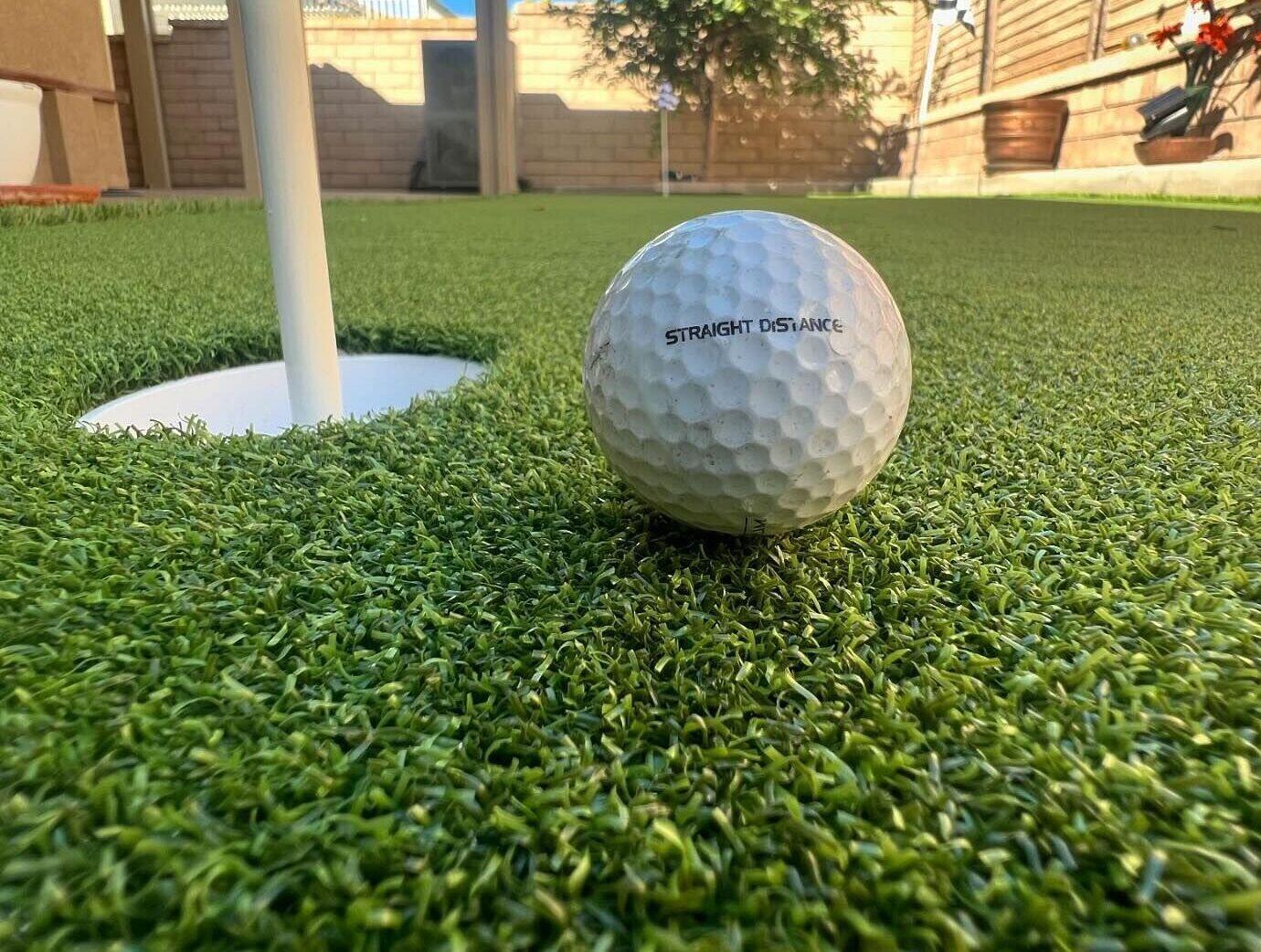 Maintenance Services, Artificial Grass Cleaning, Huntington Beach